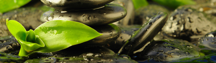 Médecines Douces, Aromathérapie, Nutrithérapie